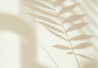 Abstract white shadow of a palm leaf on a white wall. Background with empty copy space for your design. Monochrome and minimalistic background with sunlight