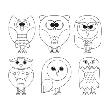 Set of outline owls on white.