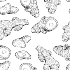 Ginger root. Asian Chinese traditional medicine. Herb. Whole plant, cuted root, sliced pieces, dry powder, flower, leaves. Spicy condiment. Seamless background with pattern. Hand-drawn ink sketch.