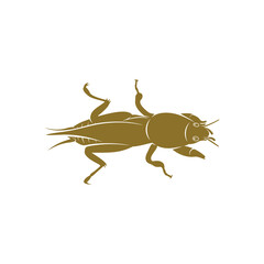 Mole Cricket design vector illustration, Creative Mole Cricket logo design concept template, symbols icons