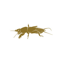 Mole Cricket design vector illustration, Creative Mole Cricket logo design concept template, symbols icons