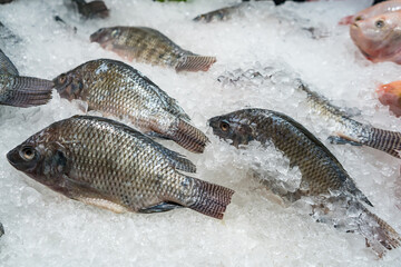 Fresh fish on ice display in a supermarket.