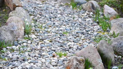 gravel in the decoration of the flowerbed in landscaping