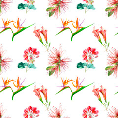 Exotic red flowers watercolor isolated on white background seamless pattern for all prints. Hand painted.