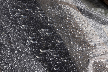 Lots of shiny raindrops on the smooth surface of the rustic greenhouse