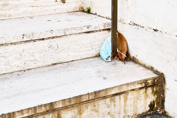 Surgical masks discarded on the street. Protective mask used is on the step next to a dry sheet of ficus. Waste disposal problem in coronavirus times.