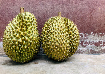 Large Thai Monthong Durian