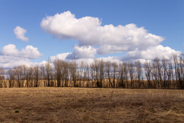 natural background early spring landscape field with last year's grass, forest, sky with clouds