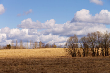 natural background early spring landscape field with last year's grass, forest, sky with clouds
