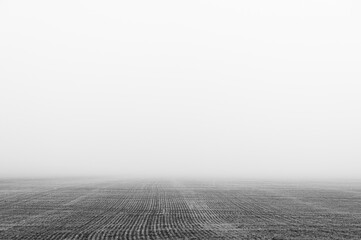 Agricultural field in the fog. Minimal composition, monochrome image. Place for text