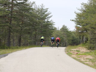 Fototapeta premium groupe de cyclistes ami qui pédalent sur la route à vélo