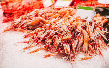 crayfish and crabs displayed on ice in seafood street market