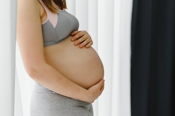Young pregnant woman holds her hands on her swollen belly. Love concept. Horizontal with copy space