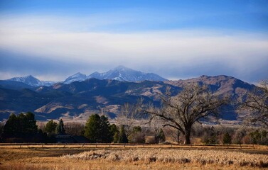 Panoramic view of long's peak and cottonwood trees on a winter afternoon from  the teller farms trail,  in eastern boulder county, colorado - obrazy, fototapety, plakaty