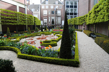 Small and beautiful garden in the middle of the houses in the center of Amsterdam