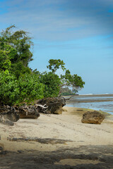Trees at the Plengkung Beach	