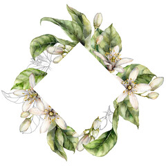 Fototapeta premium Watercolor rhombic frame of lemon flowers and linear leaves. Hand painted tropical border of fruits isolated on white background. Spring illustration for design, print, fabric or background.