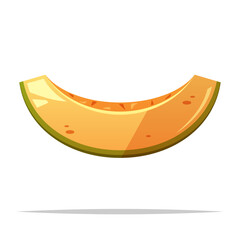 Slice of melon vector isolated illustration