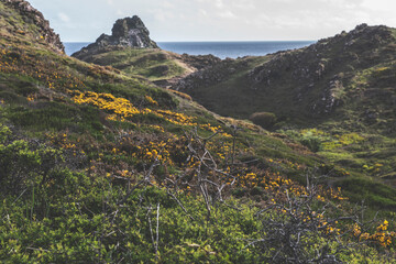 Kynance Cove, Cornwall, United Kingdom