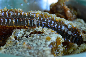 сотовый мед