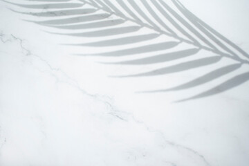 대리석 배경에 야자수잎과 그림자