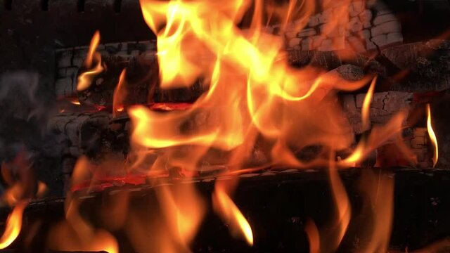 4k Bonfire burns in the summer forest, flames and coals on fire close-up in the evening night. High quality 4k footage