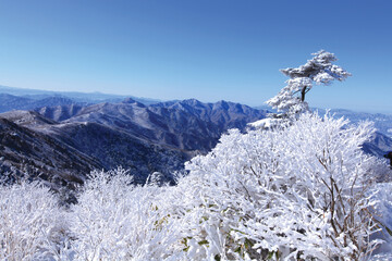 Naklejka na ściany i meble Snowy landscape in Mt. Deok-yu, Korea