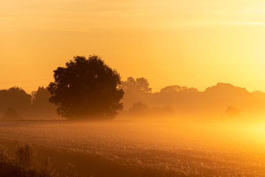 Die Kraft der Sonne