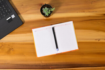 Work from home, office with laptop, pen, diary and plants.