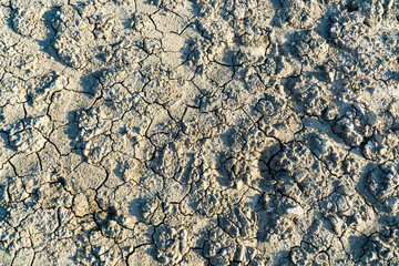 The dry cracked ground, Ground in drought, Soil texture and dry mud, Dry land, for use background or wallpaper, copy space for text.