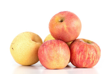 fruit