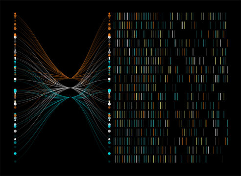 Big genomic data visualization