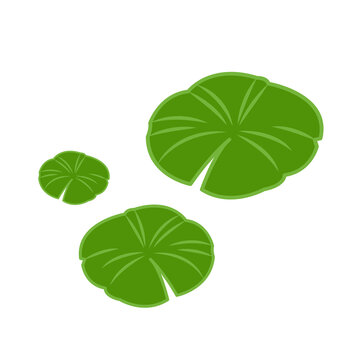 Lily pad pattern vector. wallpaper. free space for text. background.