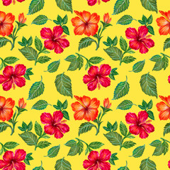 Watercolor hibiscus colorful botanical flowers, leaves, foliage, garland , tropical exotic jungle seamless repeat pattern