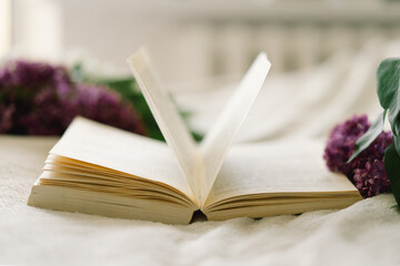 Still life details in home interior of living room. Lilac and open book