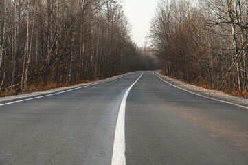 Fototapeta na wymiar An asphalt way with markings through the morning autumn forest. Road trip concept