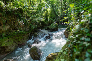 river in the woods coming from the waterfall of the marmore