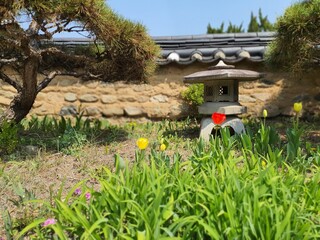 마당 한켠에 핀 꽃들