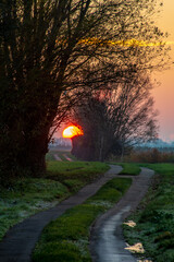 Wald, Blumen und mehr. Draussen ist es am sch&ouml;nsten.