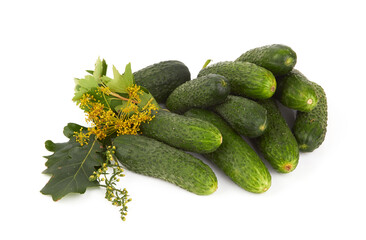 Cucumbers on a white background