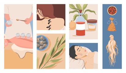 Chinese or oriental traditional alternative medicine vector flat illustration. Ginseng root, medicinal herbs, seeds, and roots. Natural healing, acupuncture, hirudotherapy and ventosa therapy concept.