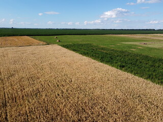 Beautiful agricultural landscape, open field with blue sky and white clouds. Farmfields from a bird's eye view.