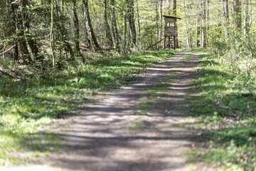 Wald, Blumen und mehr. Draussen ist es am sch&ouml;nsten.