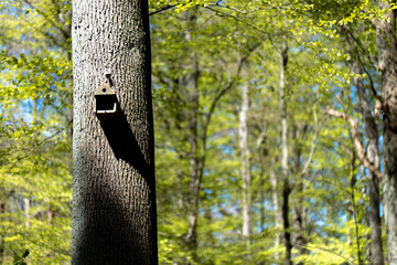 Wald, Blumen und mehr. Draussen ist es am sch&ouml;nsten.