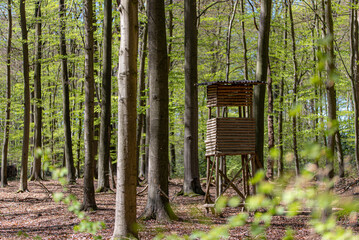 Wald, Blumen und mehr. Draussen ist es am sch&ouml;nsten.