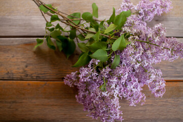 Delicate fresh flowering lilac bushes in the park on a spring sunny day. High quality photo