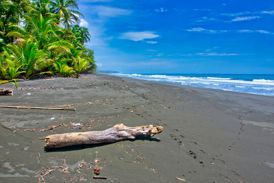 Beach, Corcovado National Park, Osa Conservation Area, Osa Peninsula, Costa Rica, Central America, America