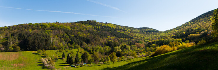 Panoramic shot of green mountain forests and fields under a blue sky