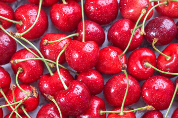 Ripe red cherries with sticks background