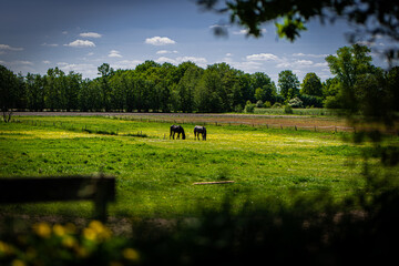Wald, Blumen und mehr. Draussen ist es am sch&ouml;nsten.